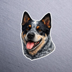 American Cattle Dog sticker. These stickers are made with printable vinyl with a vinyl top coat that is scratch-resistant and water resistant.