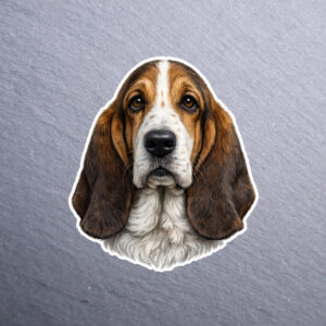 Basset Hound Sticker. These stickers are made with printable vinyl with a vinyl top coat that is scratch-resistant and water resistant.