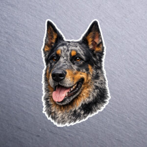 Beauceron Harlequin Sticker. These stickers are made with printable vinyl with a vinyl top coat that is scratch-resistant and water resistant.