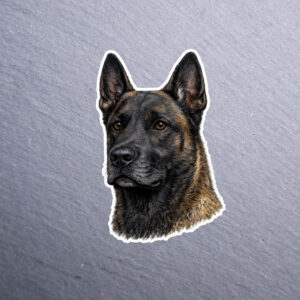Belgian Malinois Sticker. These stickers are made with printable vinyl with a vinyl top coat that is scratch-resistant and water resistant. Put one on your phone case, laptop, iPad, hard cooler; the possibilities are endless. FEATURES: Approximately 2  Inch Sticker in Height Water Resistant (hand wash only; no detergent; do not soak) Vinyl Coated UV Protected (will fade in extreme sunlight) Check out our Instagram for more pictures and videos of this product. Colors may vary due to screen resolution. Easily removeable with very little to no residue. Remove any residue with a little alcohol or goo gone.