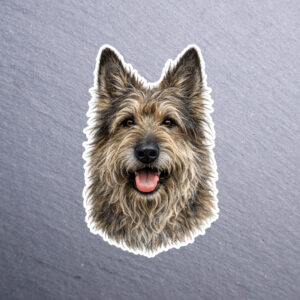 Berger Picards Sticker. These stickers are made with printable vinyl with a vinyl top coat that is scratch-resistant and water resistant.