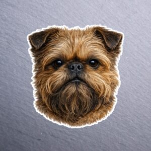 Brussels Griffon Sticker. These stickers are made with printable vinyl with a vinyl top coat that is scratch-resistant and water resistant.