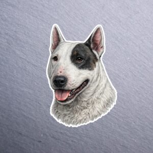 Bull Terrier Sticker. These stickers are made with printable vinyl with a vinyl top coat that is scratch-resistant and water resistant.