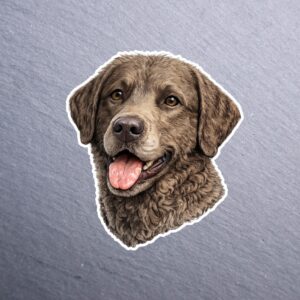 Chesapeake Bay Retriever Sticker. These stickers are made with printable vinyl with a vinyl top coat that is scratch-resistant and water resistant.