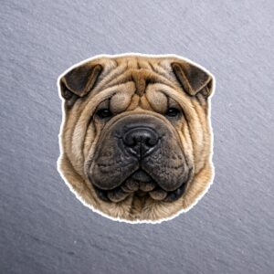Chinese Shar Pei Sticker. These stickers are made with printable vinyl with a vinyl top coat that is scratch-resistant and water resistant.