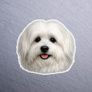 Coton de Tulear Sticker. These stickers are made with printable vinyl with a vinyl top coat that is scratch-resistant and water resistant.