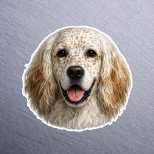 English Setter Sticker. These stickers are made with printable vinyl with a vinyl top coat that is scratch-resistant and water resistant.