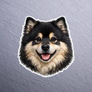 Finnish Lapphund Sticker. These stickers are made with printable vinyl with a vinyl top coat that is scratch-resistant and water resistant.