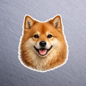 Finnish Spitz Sticker. These stickers are made with printable vinyl with a vinyl top coat that is scratch-resistant and water resistant.