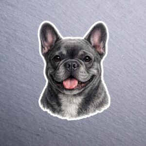 French Bulldog Gray Sticker. These stickers are made with printable vinyl with a vinyl top coat that is scratch-resistant and water resistant.