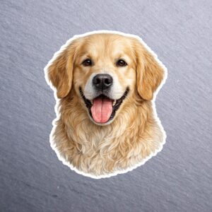 Golden Retriever Sticker. These stickers are made with printable vinyl with a vinyl top coat that is scratch-resistant and water resistant.