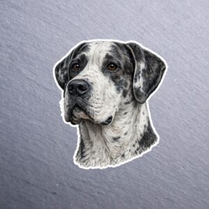 Great Dane Harlequin Sticker. These stickers are made with printable vinyl with a vinyl top coat that is scratch-resistant and water resistant.