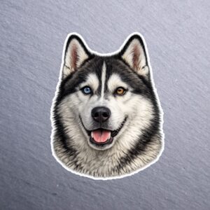 Husky Black Heterochromia Sticker. These stickers are made with printable vinyl with a vinyl top coat that is scratch-resistant and water resistant.