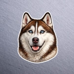 Husky Cinnamon Blue Eyes Sticker. These stickers are made with printable vinyl with a vinyl top coat that is scratch-resistant and water resistant.