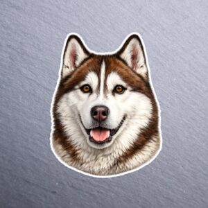 Husky Cinnamon Brown Eyes Sticker. These stickers are made with printable vinyl with a vinyl top coat that is scratch-resistant and water resistant.