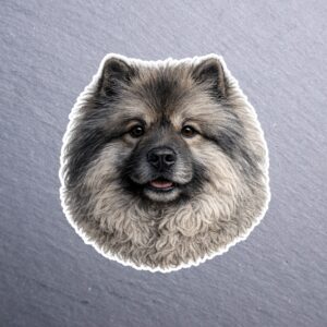 Keeshond Sticker. These stickers are made with printable vinyl with a vinyl top coat that is scratch-resistant and water resistant.