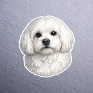 Maltese Sticker. These stickers are made with printable vinyl with a vinyl top coat that is scratch-resistant and water resistant.
