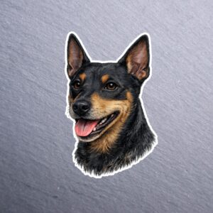 Mini Pinscher Sticker. These stickers are made with printable vinyl with a vinyl top coat that is scratch-resistant and water resistant.