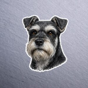 Mini Schnauzer Sticker. These stickers are made with printable vinyl with a vinyl top coat that is scratch-resistant and water resistant.