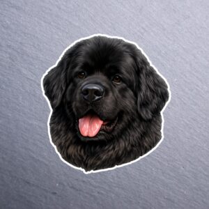 Newfoundland Sticker. These stickers are made with printable vinyl with a vinyl top coat that is scratch-resistant and water resistant.