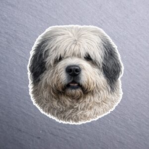 Old English Sheepdog Sticker. These stickers are made with printable vinyl with a vinyl top coat that is scratch-resistant and water resistant.