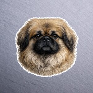 Pekingese Sticker. These stickers are made with printable vinyl with a vinyl top coat that is scratch-resistant and water resistant.