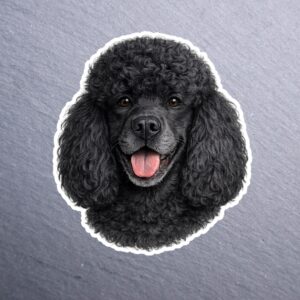 Poodle Black Sticker. These stickers are made with printable vinyl with a vinyl top coat that is scratch-resistant and water resistant.