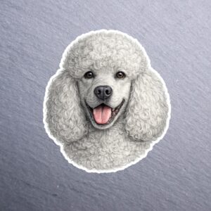 Poodle White Sticker. These stickers are made with printable vinyl with a vinyl top coat that is scratch-resistant and water resistant.