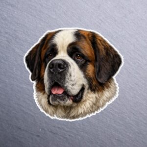 Saint Bernard Sticker. These stickers are made with printable vinyl with a vinyl top coat that is scratch-resistant and water resistant.