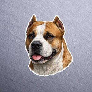 American Staffordshire Terrier Brown Sticker. These stickers are made with printable vinyl with a vinyl top coat that is scratch-resistant and water resistant.