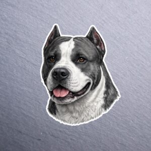 American Staffordshire Terrier Gray Sticker. These stickers are made with printable vinyl with a vinyl top coat that is scratch-resistant and water resistant.