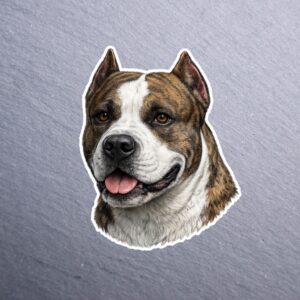 American Staffordshire Terrier Tortoise Sticker. These stickers are made with printable vinyl with a vinyl top coat that is scratch-resistant and water resistant.