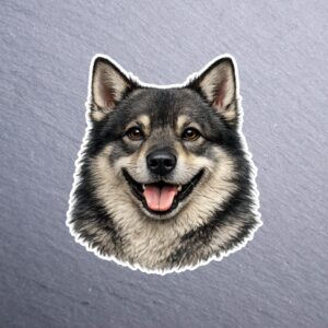 Swedish Vallhund Sticker. These stickers are made with printable vinyl with a vinyl top coat that is scratch-resistant and water resistant.