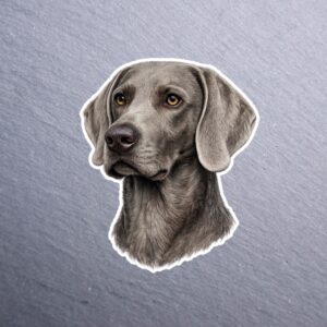 Weimaraner Sticker. These stickers are made with printable vinyl with a vinyl top coat that is scratch-resistant and water resistant.