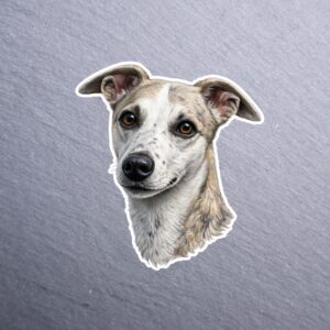 Whippet Sticker. These stickers are made with printable vinyl with a vinyl top coat that is scratch-resistant and water resistant.