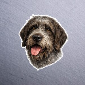 Wirehaired Pointing Griffon Sticker. These stickers are made with printable vinyl with a vinyl top coat that is scratch-resistant and water resistant.