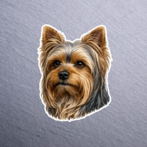 Yorkshire Terrier Sticker. These stickers are made with printable vinyl with a vinyl top coat that is scratch-resistant and water resistant.