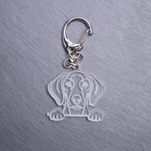 American Leopard Hound Bag Tag. This bag tag is made with engraved acrylic. Comes with lobster clasp topper that easily hooks to a bag, zippers, keychains,