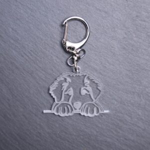 Armenan Gampr Bag Tag. This bag tag is made with engraved acrylic. Comes with lobster clasp topper that easily hooks to a bag, zippers, keychains,