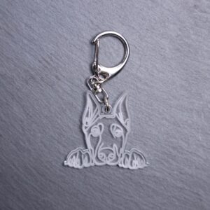 Doberman Pinscher Bag Tag. This bag tag is made with engraved acrylic. Comes with lobster clasp topper that easily hooks to a bag, zippers, keychains,