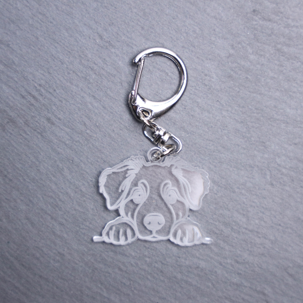 Entlebucher Mountain Dog Bag Tag. This bag tag is made with engraved acrylic. Comes with lobster clasp topper that easily hooks to a bag, zippers, keychains,