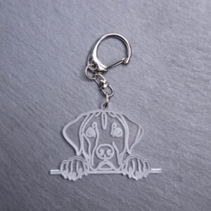 Rhodesian Ridgeback Bag Tag. This bag tag is made with engraved acrylic. Comes with lobster clasp topper that easily hooks to a bag, zippers, keychains,