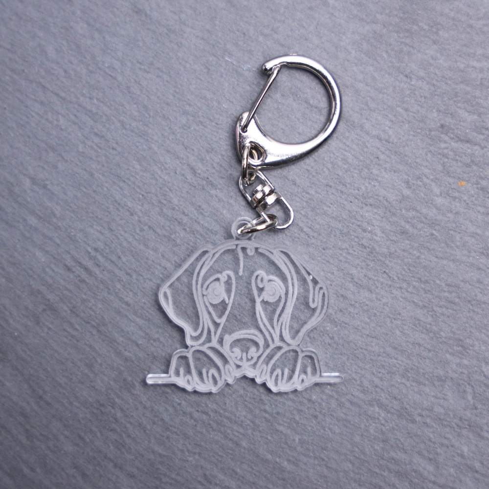 Vizsla Bag Tag. This bag tag is made with engraved acrylic. Comes with lobster clasp topper that easily hooks to a bag, zippers, keychains,